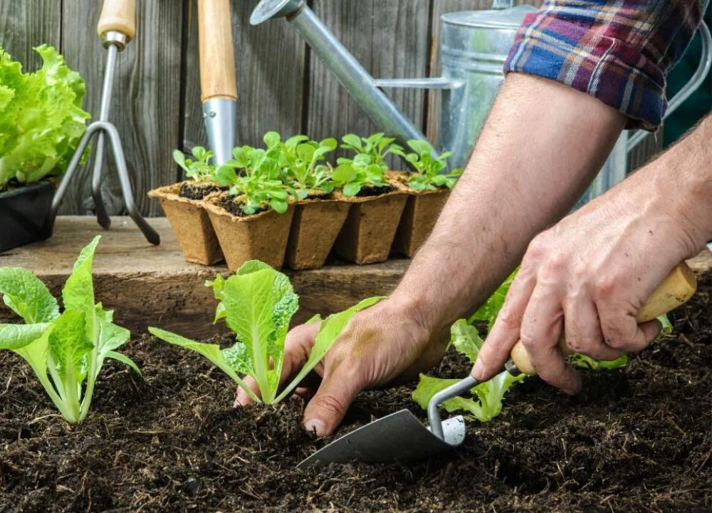 port-img-2 port-img-2