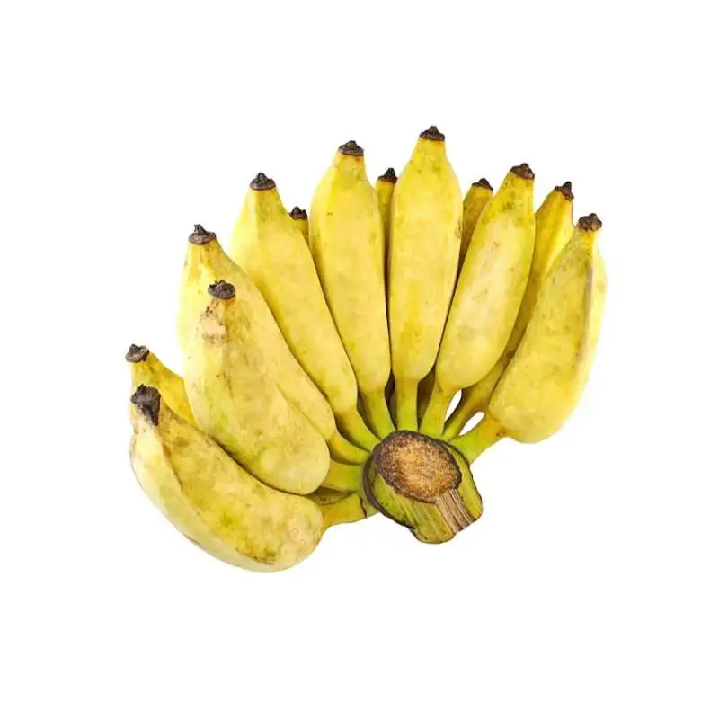 Avocado The Most Nutrient