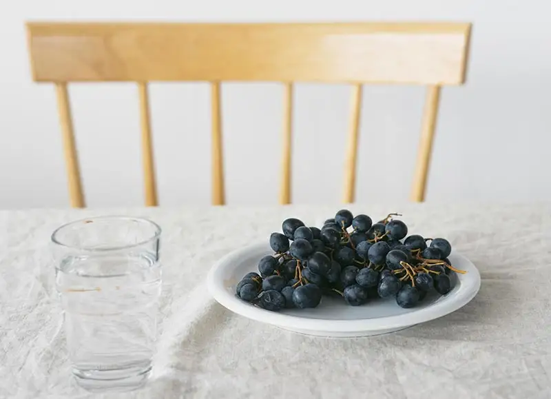 Golden Curcuma Flavored