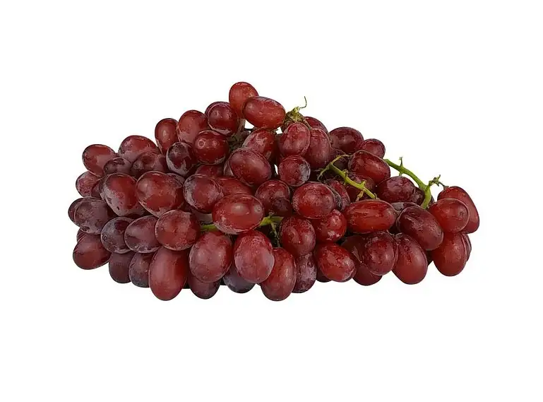 Golden Curcuma Flavored